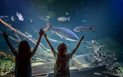 Aquatika – slatkovodni akvarij Karlovac
